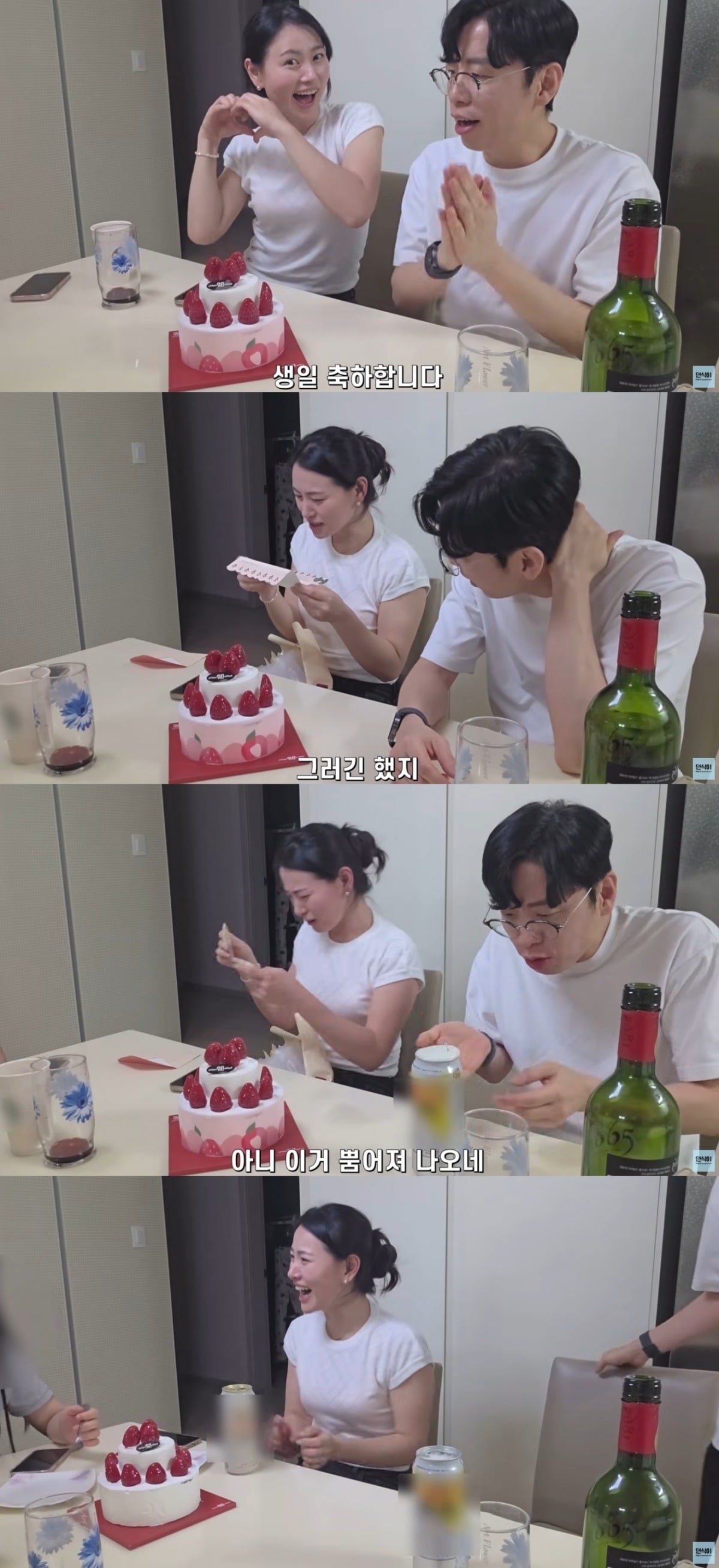
사진 = '댄식이' 유튜브 채널 캡처




