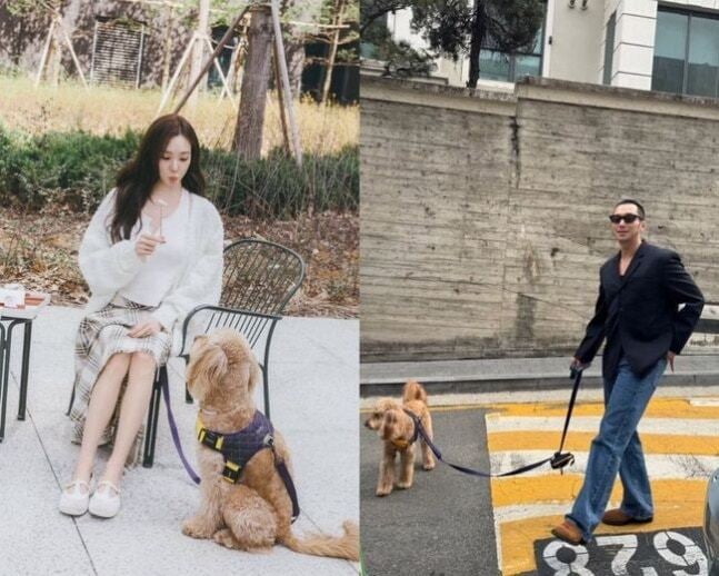 배우 변요한이 반려견들과 함께한 소소한 신혼 일상을 공개했다. / 사진=SNS