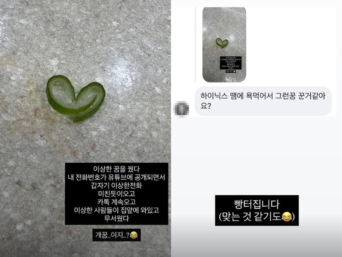 사진=미자 SNS