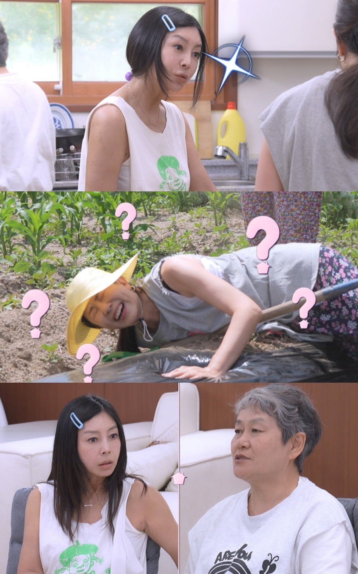 '황신혜의 같이 삽시다'가 매주 수요일 방송된다. / 사진제공=KBS '황신혜의 같이 삽시다'