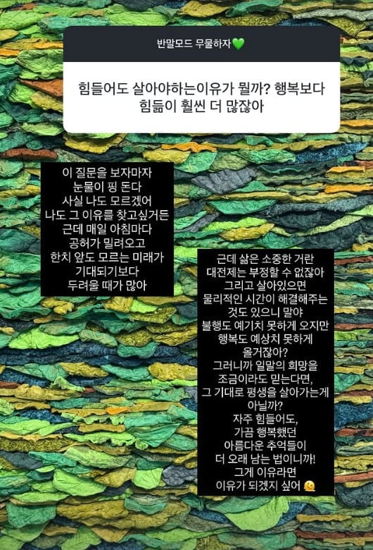 사진=이솔이 SNS