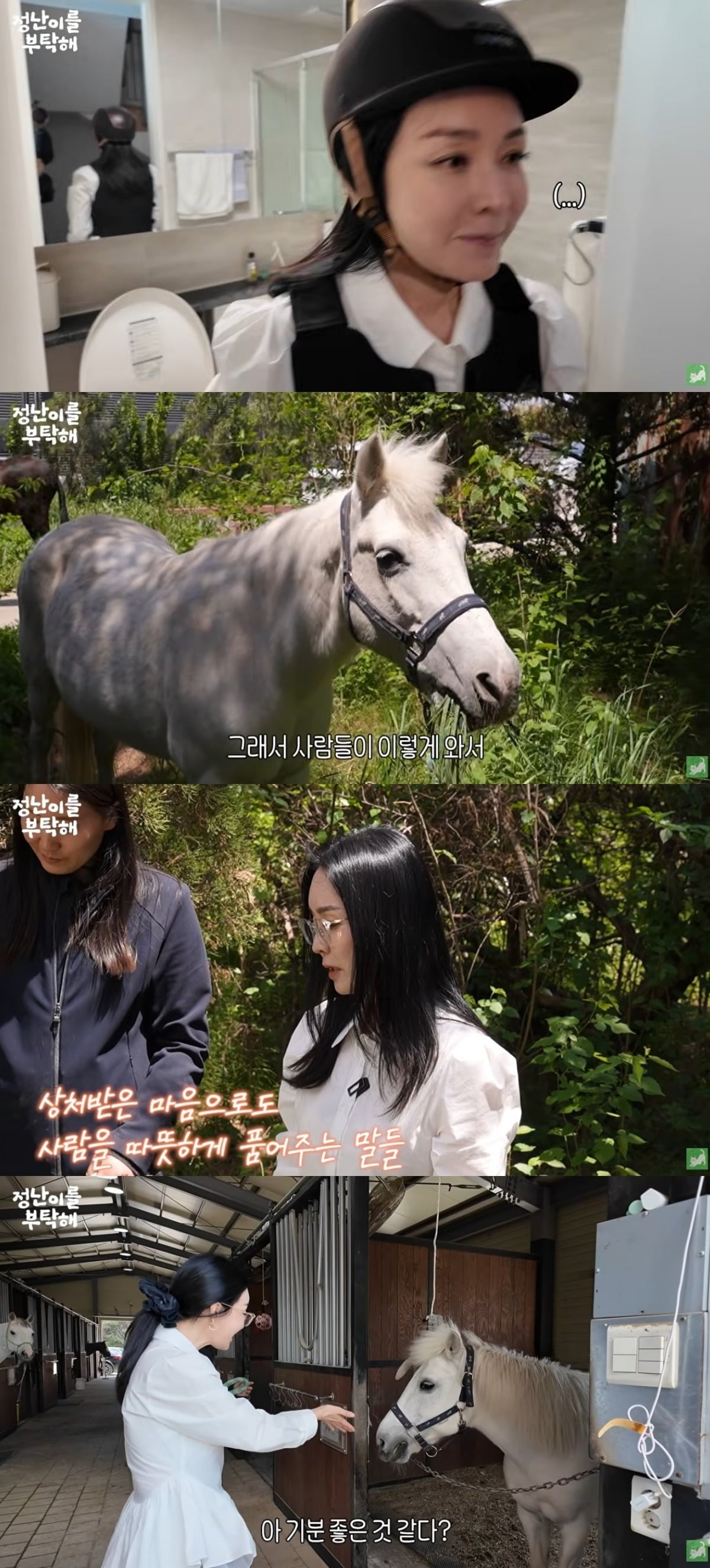 사진 = '김정난' 유튜브 채널 캡처