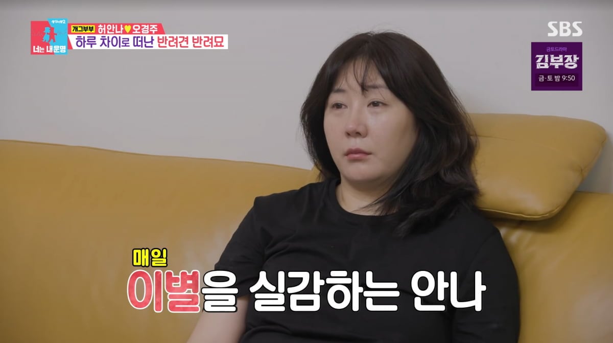 사진=SBS '동상이몽2'