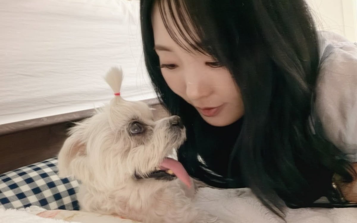이보람이 반려견의 근황을 전했다. / 사진=이보람 SNS