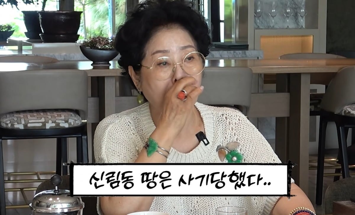 사진 = 유튜브 채널 '순풍 선우용여'