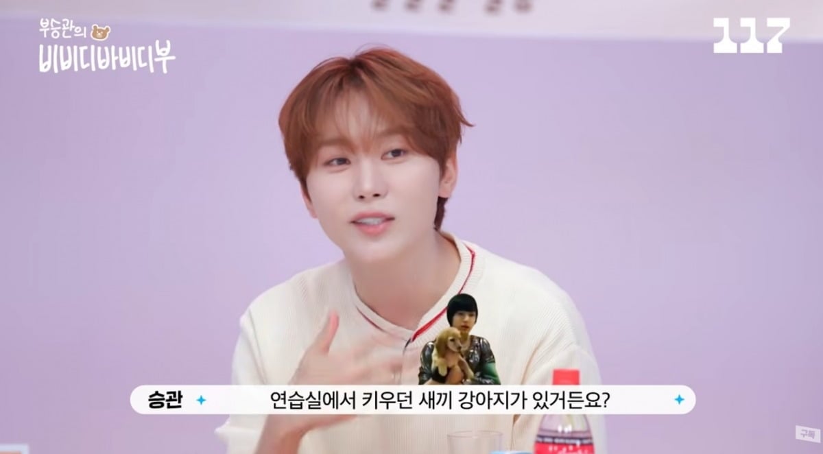 
사진 = '일일칠' 유튜브 채널 캡처