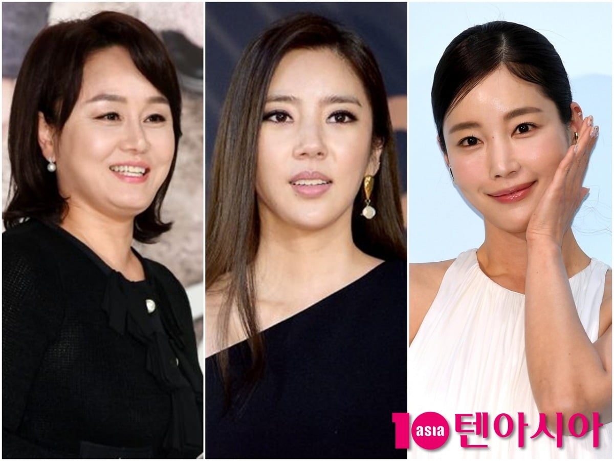 이경실, 손담비, 기은세가 각 공식행사에 참석했다./사진=텐아시아DB