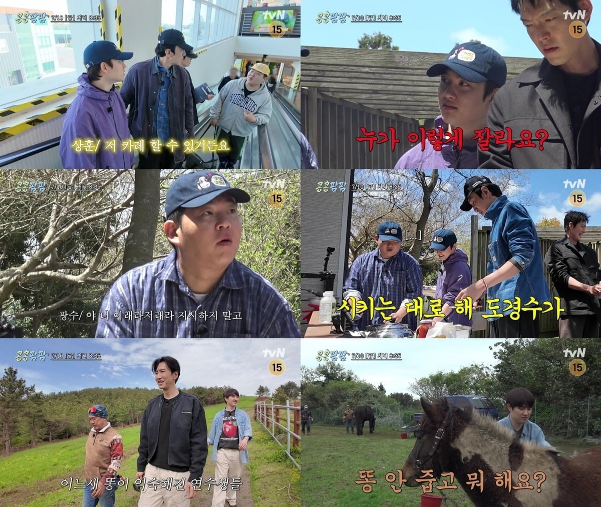 '콩콩팜팜' 멤버들이 말 목장으로 간다./사진제공=tvN