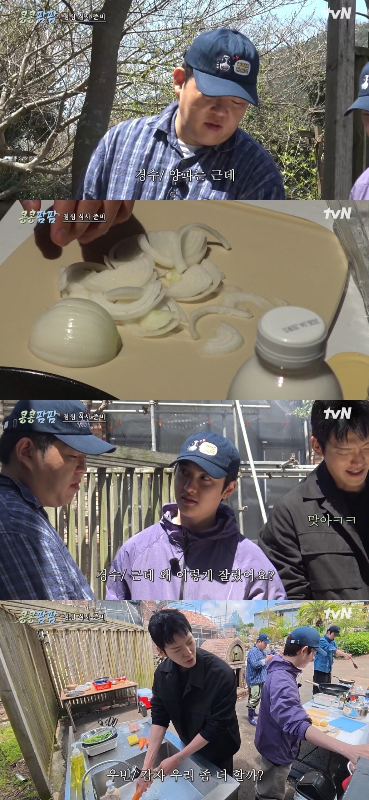 사진 = tvN '콩콩팜팜-콩 심은 데 콩 나는 가고팜 하고팜 동물농장' 캡처