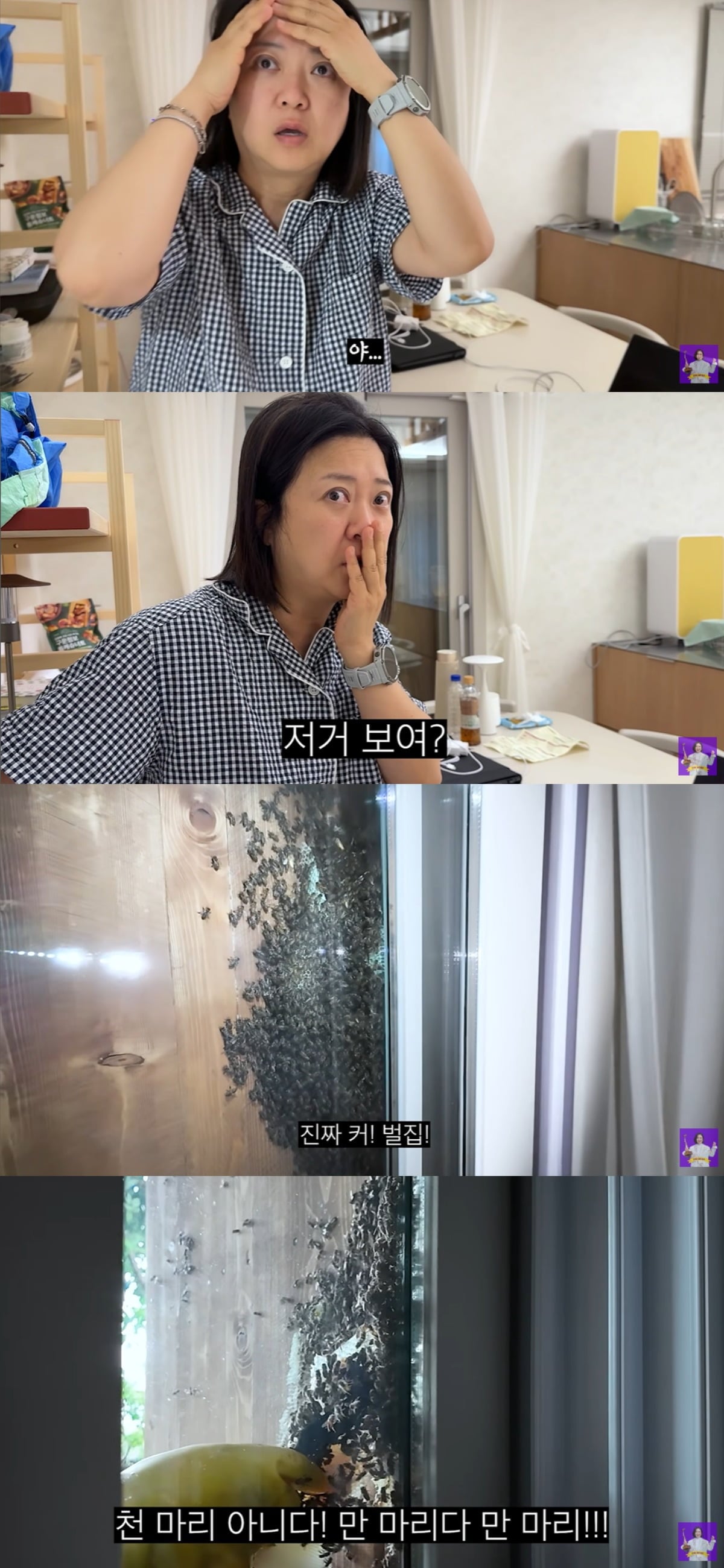 김숙이 119를 불러 벌집 제거에 나섰다. / 사진='김숙TV' 유튜브 캡쳐