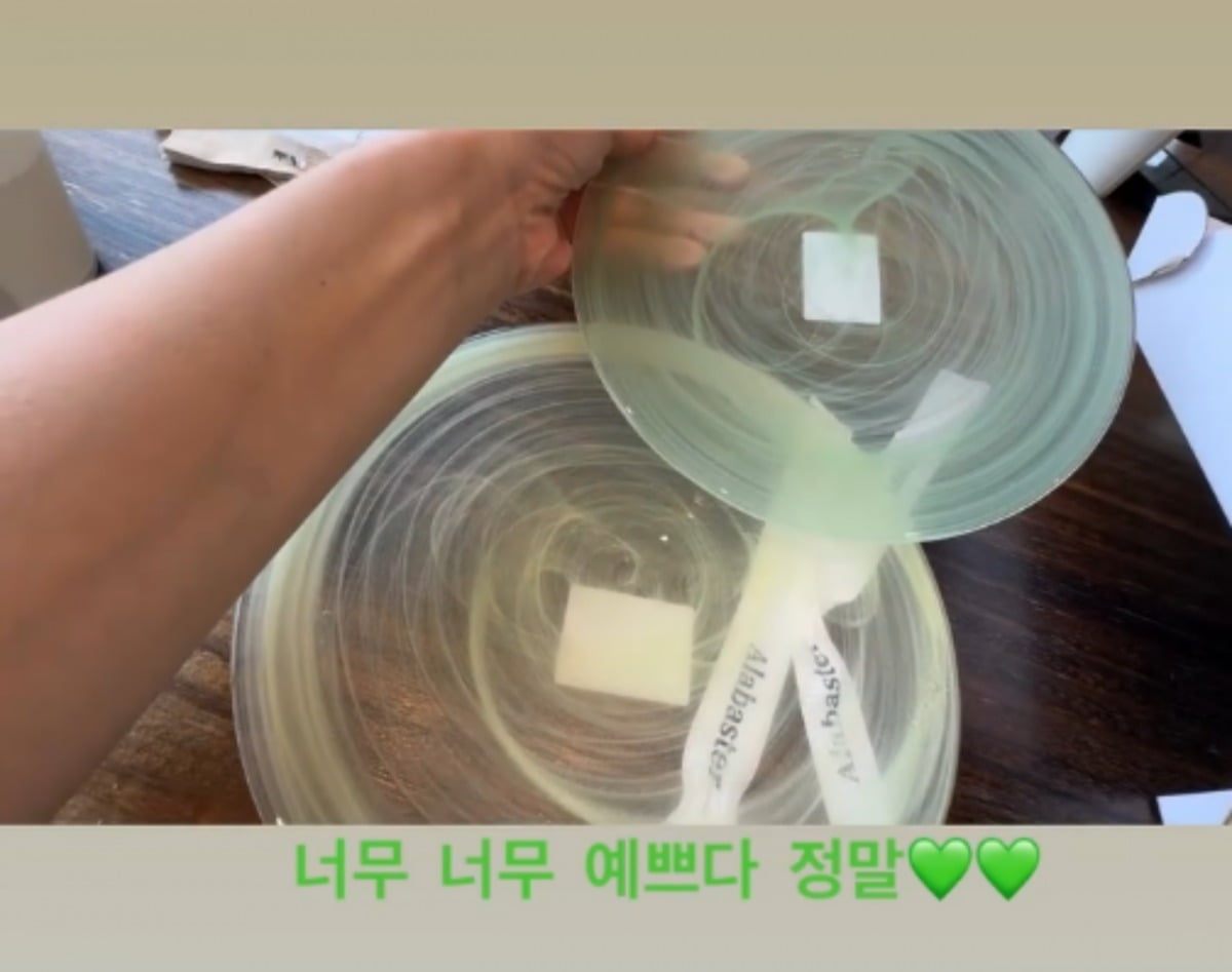 강성연이 선물을 받고 기뻐했다. / 사진=강성연 SNS 캡처