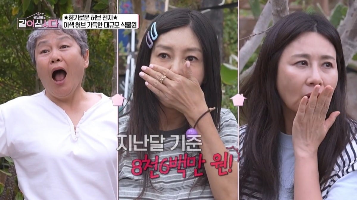사진 = KBS 1TV ‘황신혜의 같이 삽시다’