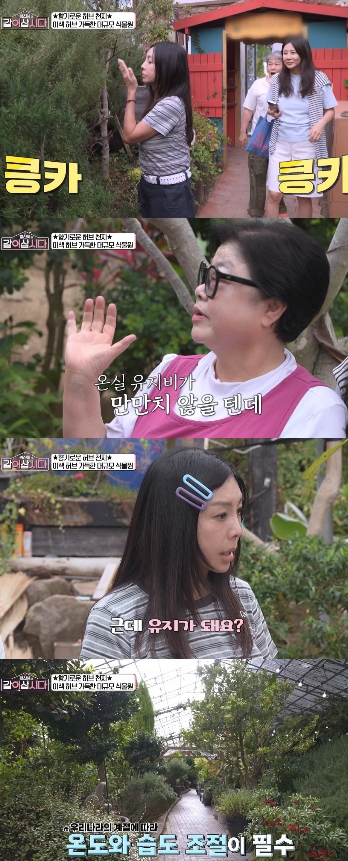 사진 = KBS 1TV ‘황신혜의 같이 삽시다’