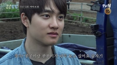 T가 확실합니다…도경수, 새로운 인턴 등장에 웃다가도 "일 잘 해야 돼" ('콩콩팜팜')