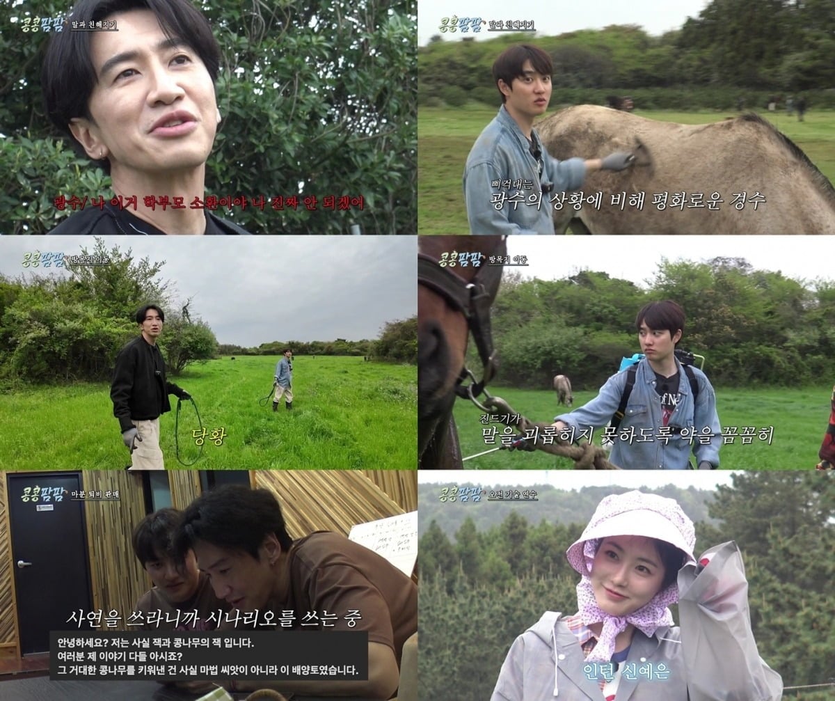 신예은이 합류하자 도경수가 반색했다./사진=tvN 방송 화면 캡처