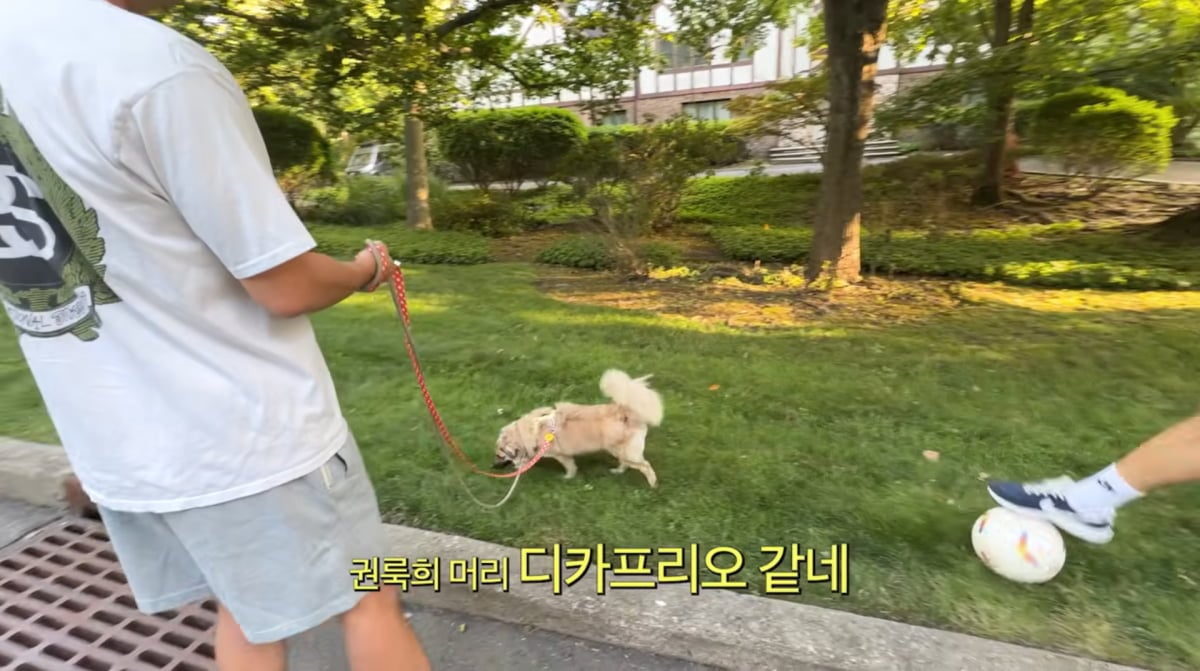 사진=손태영 유튜브