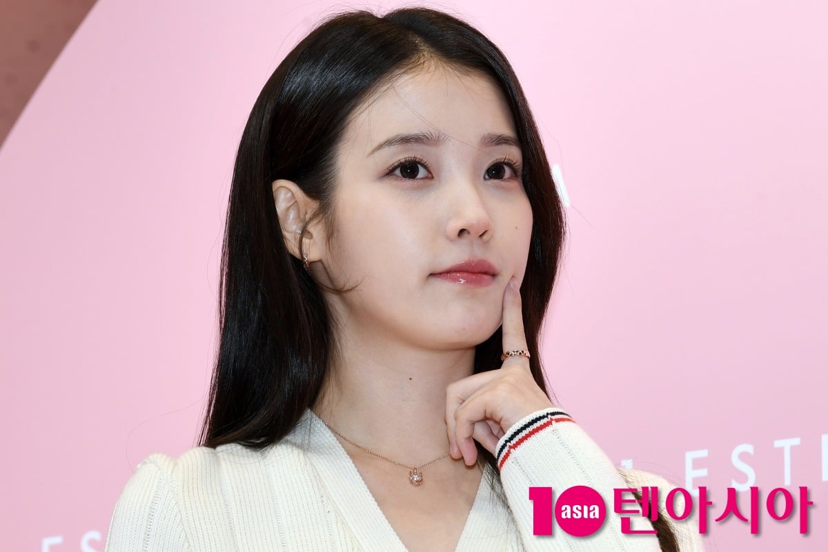 아이유가 공식석상에 참석했다./텐아시아 DB
