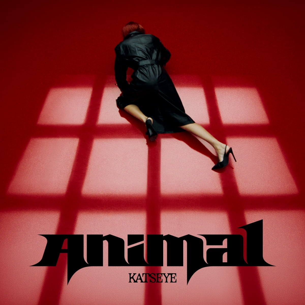 KATSEYE Animal Digital Cover / HYBE LABELS