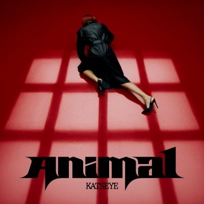캣츠아이, 'Animal'로 돌아온다…MV 티저 깜짝 공개
