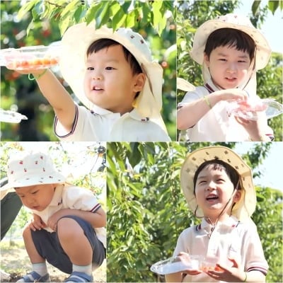 김준호子, 일은 안 하고 애교만 부려…"아빠가 따서 주세요"('슈돌')