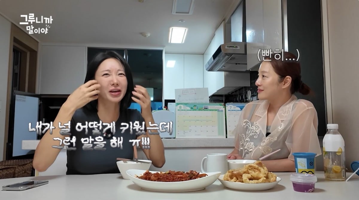 한그루가 쌍둥이를 키우면서 겪은 일화를 공개했다. / 사진='그루니까말이야' 유튜브 캡쳐