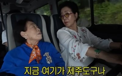 "치매 초기 아니냐"…<br>전원주, 여행 중 심한 건망증