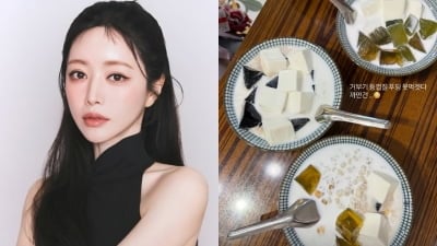 두꺼비 먹었던 홍수아, 이번엔 '거북이 등껍질 푸딩'이다…중국 체류 근황