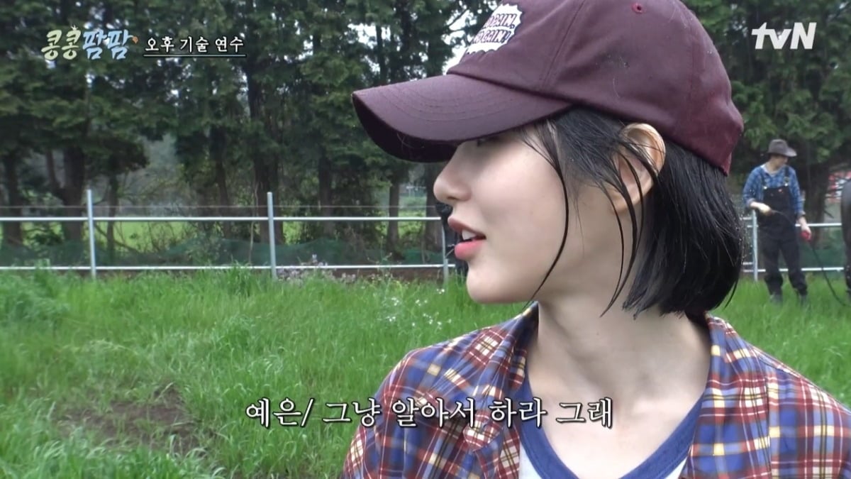 사진 = tvN '콩콩팜팜-콩 심은 데 콩 나는 가고팜 하고팜 동물농장' 캡처