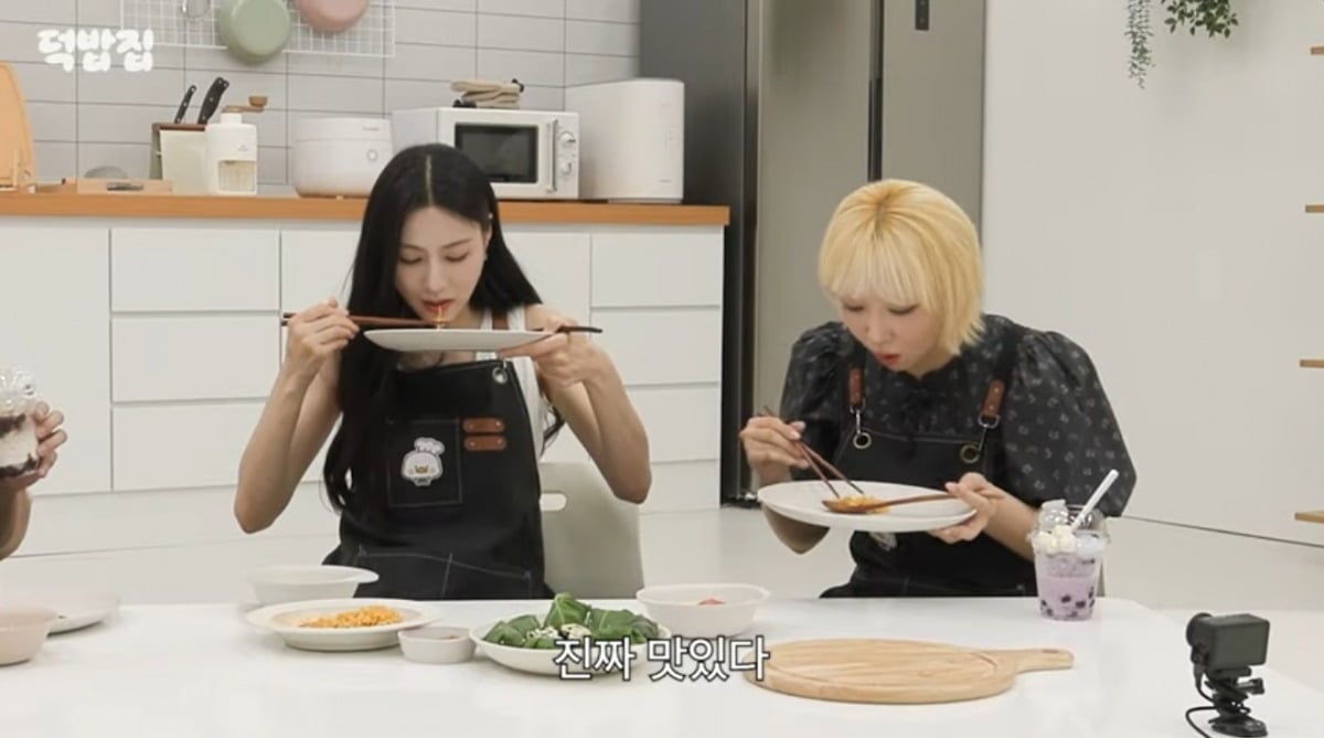 


사진 = '새고_F5' 유튜브 채널 캡처





