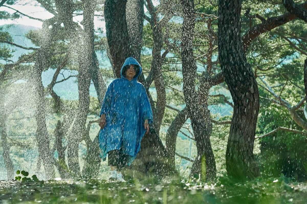 배우 이정은이 영화 '경주기행'에 출연한다. / 사진제공=롯데엔터테인먼트 