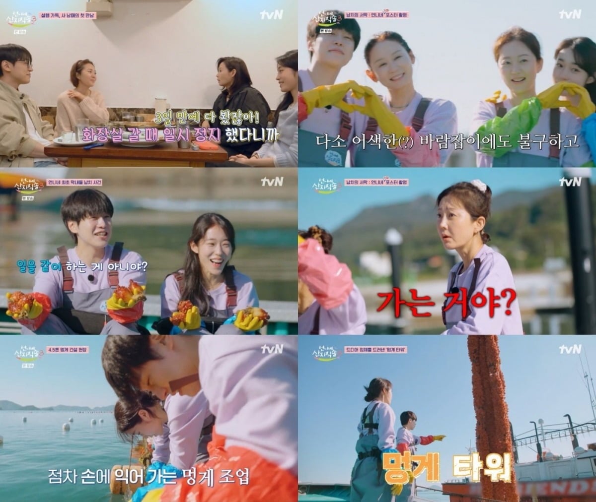 '언니네 산지직송 시즌3'가 첫 방송됐다. / 사진=tvN