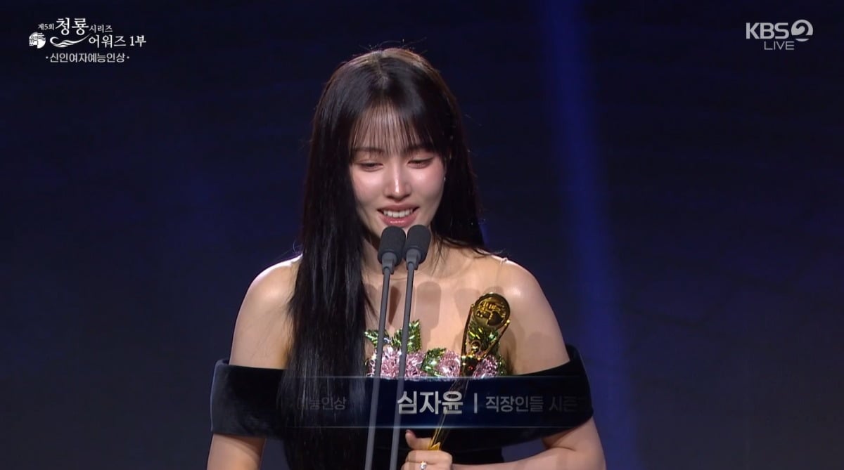 사진=청룡시리즈어워즈 영상 캡처