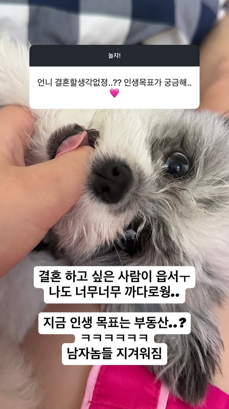 남자놈들 지겹다고…20기 정숙, 영호와 파혼 후 “인생 목표는 부동산”