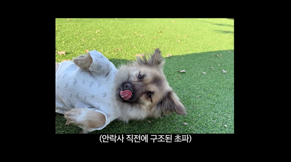 사진=손태영 유튜브