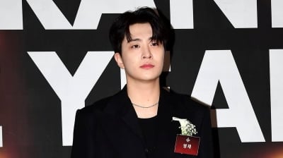 [공식] '출연료 미지급 논란' 1년 만에 정산 완료…'드림하이' 측 "시스템 재정비"
