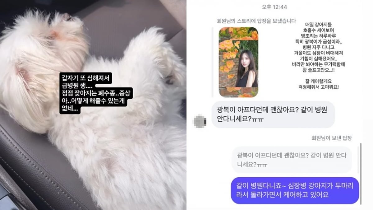 사진=박성광, 이솔이 각 SNS