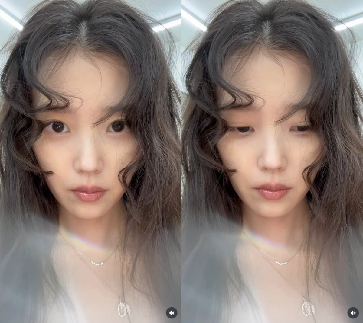 아이유가 일상의 다양한 순간을 공유했다. / 사진=아이유 SNS