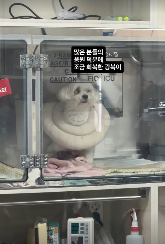 사진=박성광 SNS