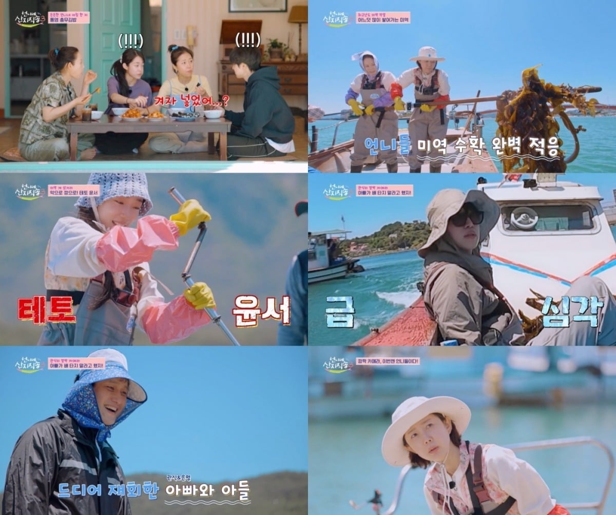 '언니네 산지직송 시즌3'가 새 멤버 조합으로 눈길을 끌었다./사진=tvN 방송 화면 캡처
