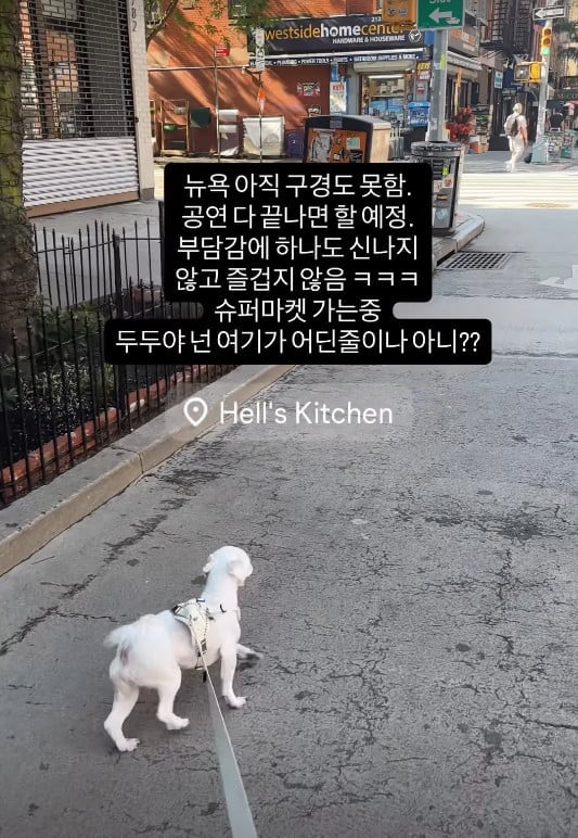 사진=아이비 SNS