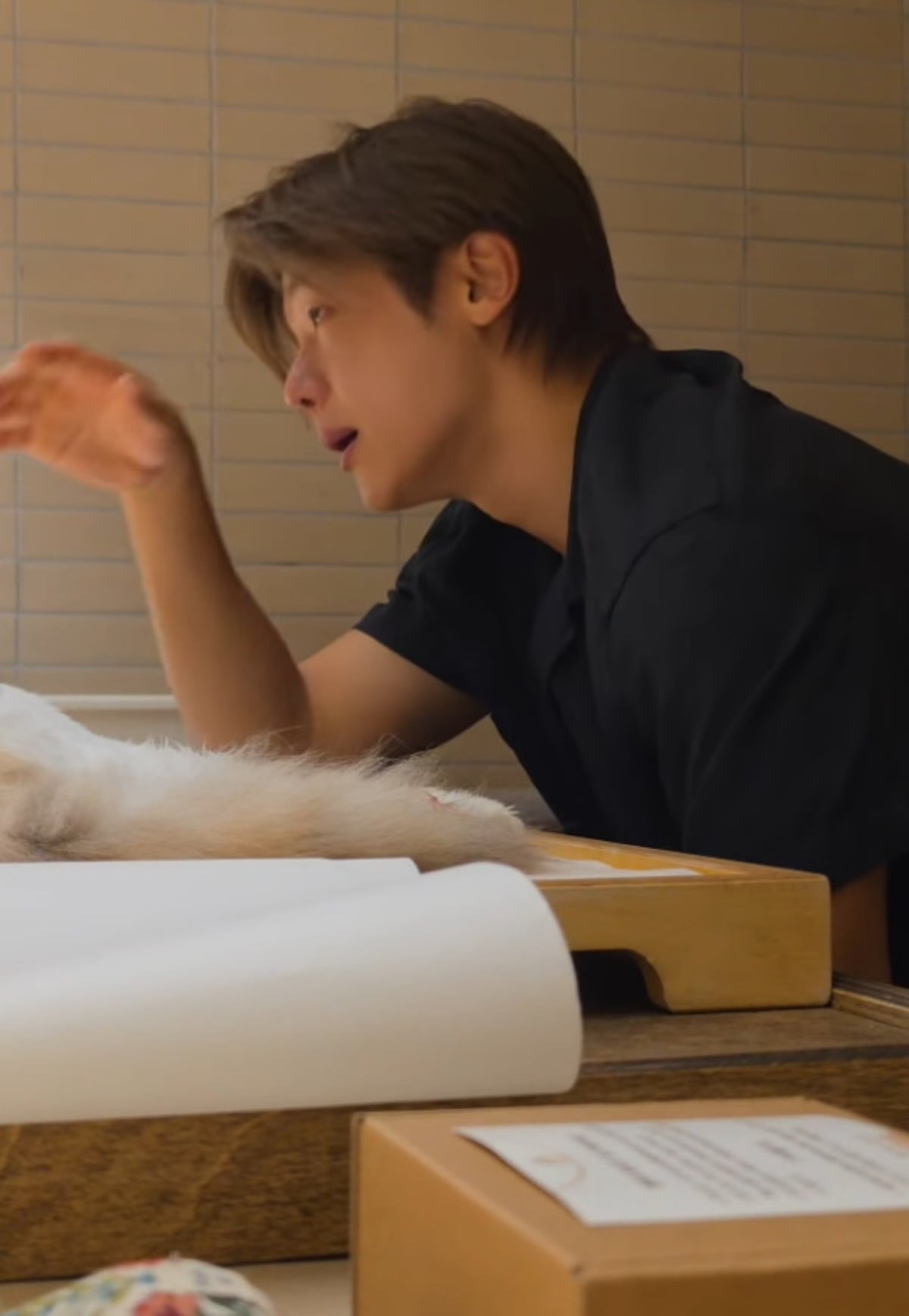 그룹 씨엔블루 멤버 강민혁이 반려묘를 떠나보냈다. / 사진=강민혁 SNS
