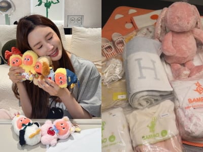 이다해, 딸 태어나기도 전부터 '명품 육아'…H사 아기용품으로 '럭셔리 출산 준비'