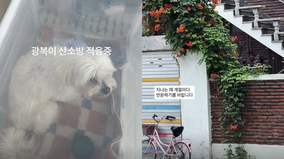 사진=박성광, 이솔이 SNS