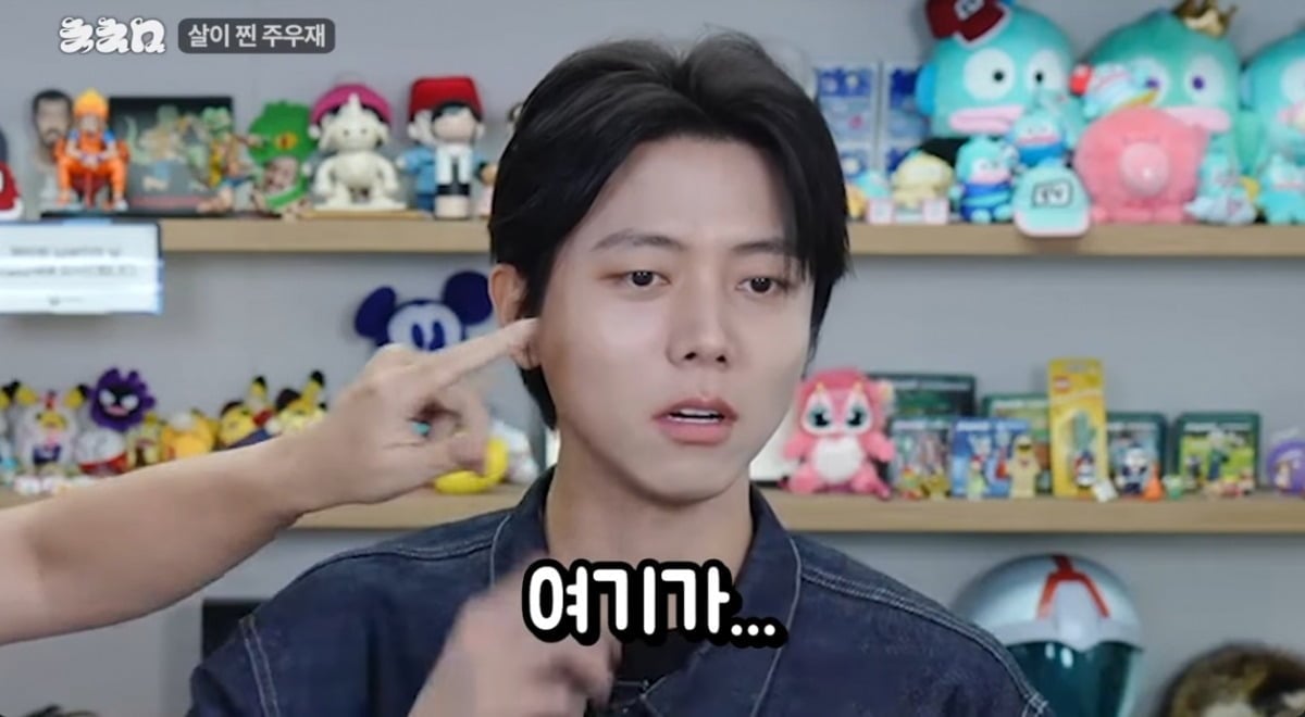
사진 = '침착맨' 유튜브 채널 캡처