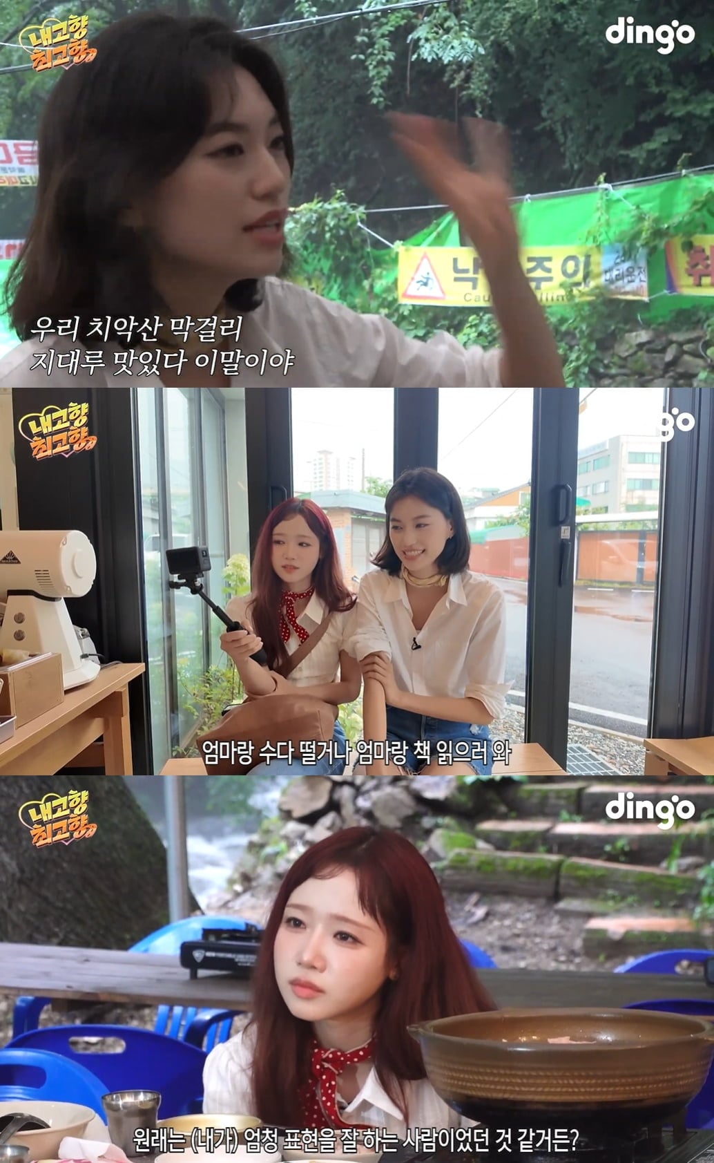김도연, 최유정 / 사진=딩고