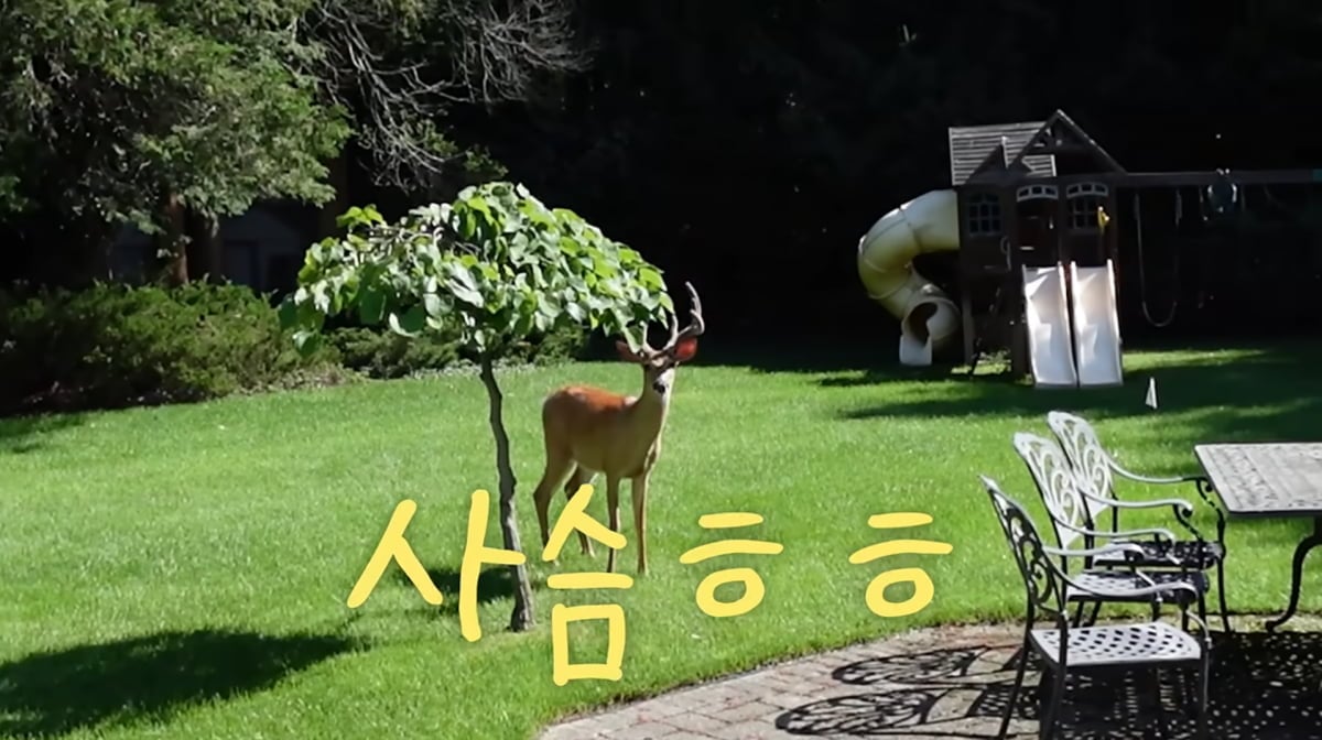사진=손태영 유튜브