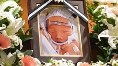 생후 60일 만에 세상 떠났다…"기적 기다렸는데" 부부 오열, 오은영도 우려 ('결혼지옥')[종합]