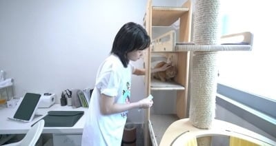 나름 연예인 집인데…사람보다 고양이 물건만 한 가득, "미안해" 눈치 ('전참시')