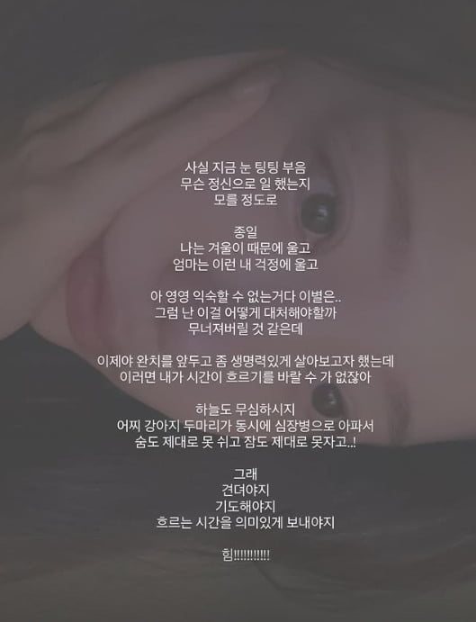 사진=이솔이 SNS