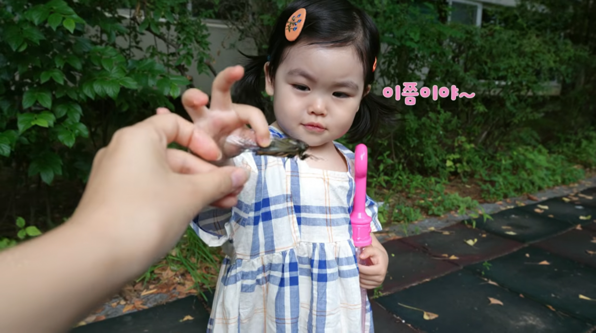 사진=박수홍 유튜브